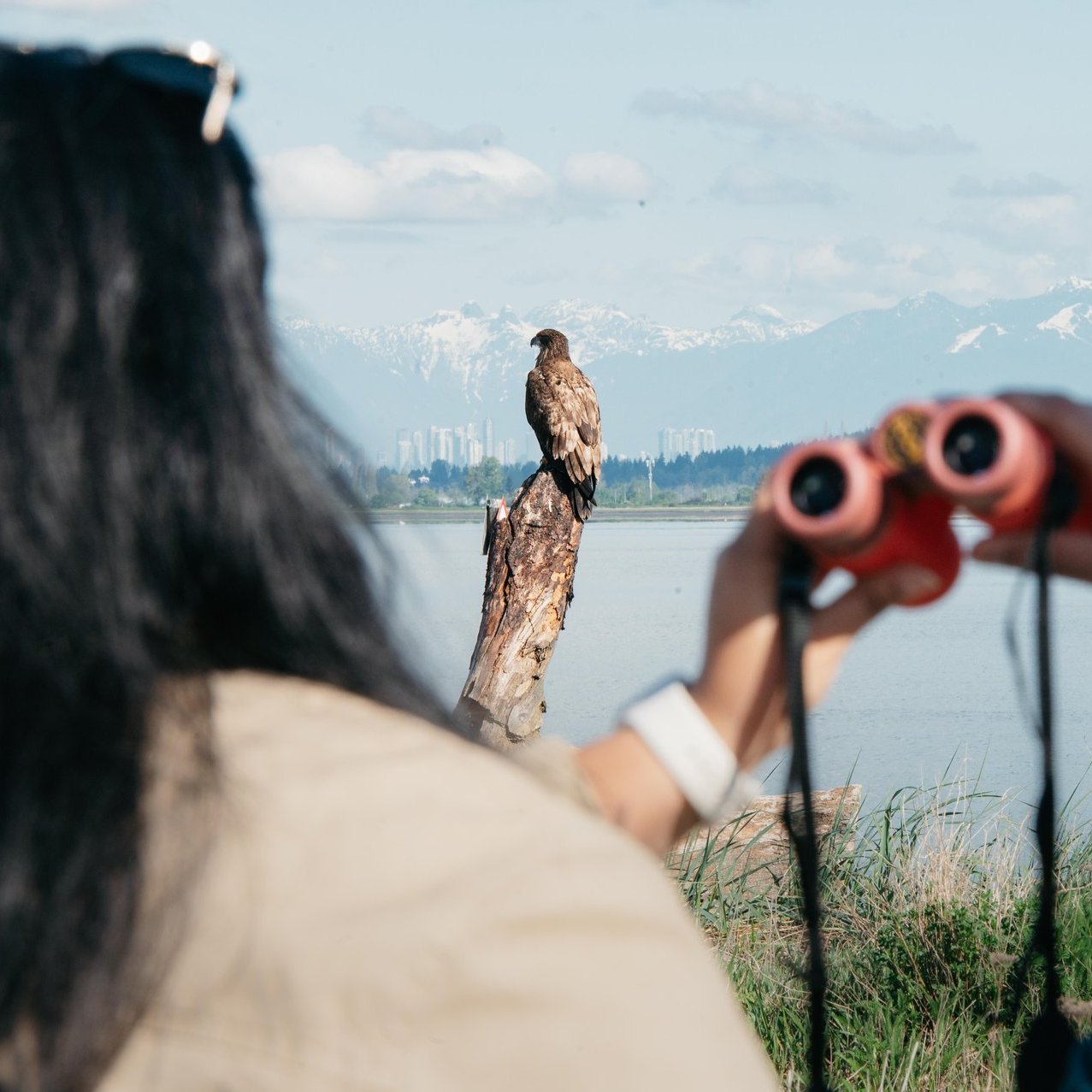 Brids and Brews Kris Cu binoculars and a bird at blackie spit DSC9418