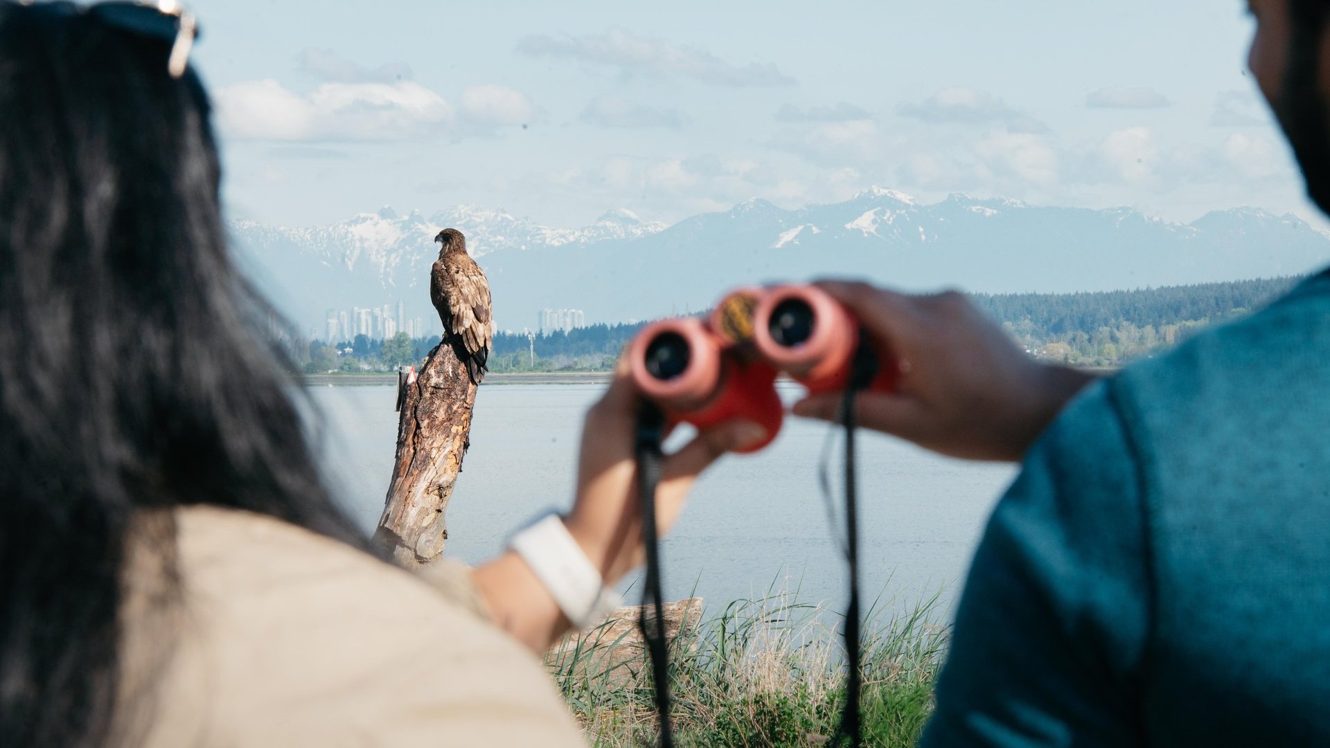 Brids and Brews Kris Cu binoculars and a bird at blackie spit DSC9418