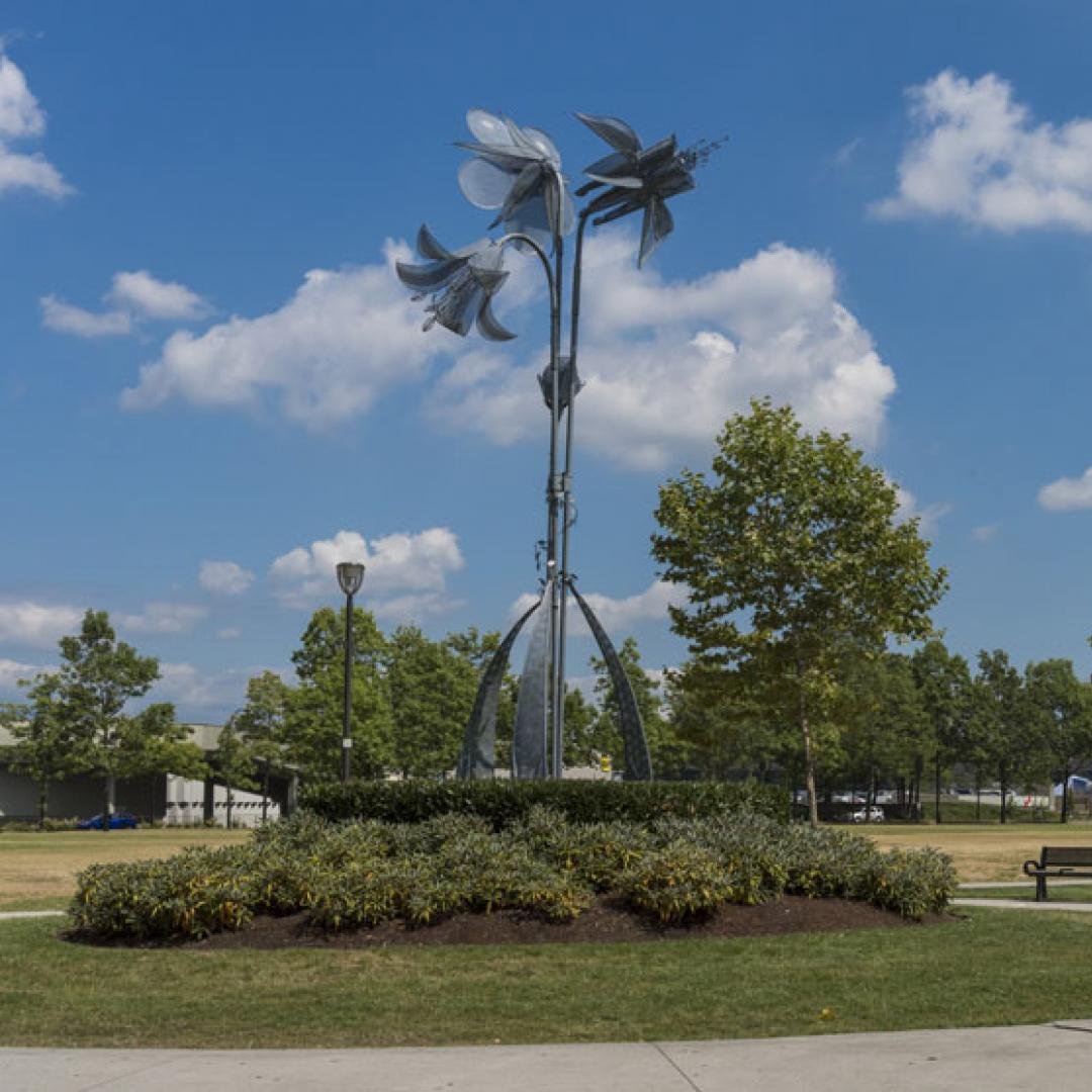 Floraform and seeds of change Surrey BC